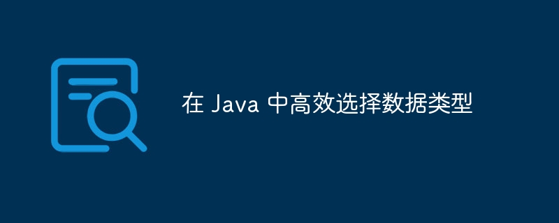 在 Java 中高效选择数据类型