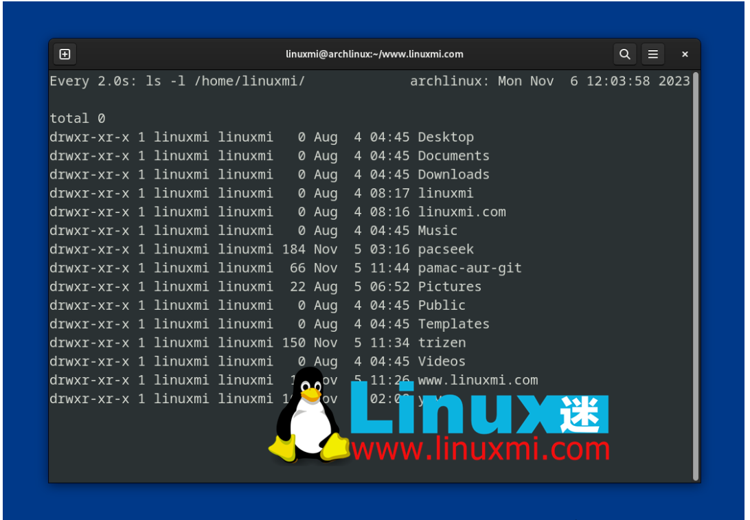 如何使用 Linux 上的 watch 命令定期运行程序