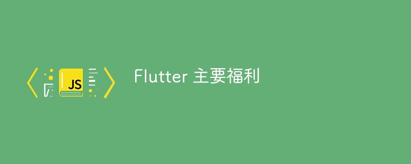 Flutter 主要福利