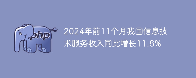 2024年前11个月我国信息技术服务收入同比增长11.8%