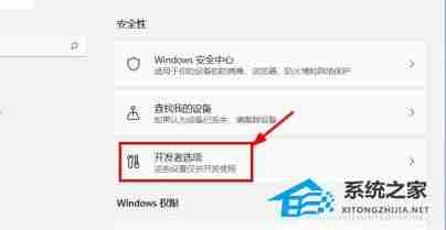 Win11如何关闭开发者模式-Win11关闭开发者模式的方法