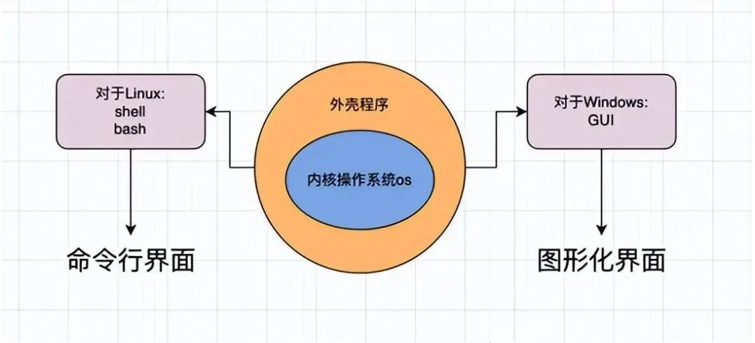 shell 运行原理和Linux权限详解