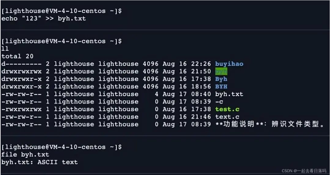 shell 运行原理和Linux权限详解