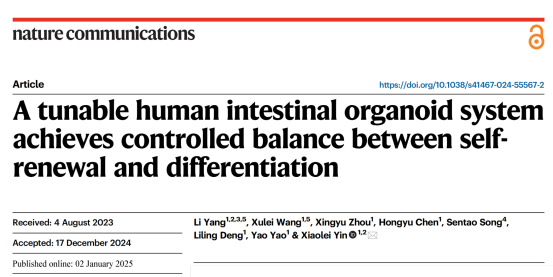 同济大学团队在《自然·通讯》上发文建立新型人小肠类器官研究平台