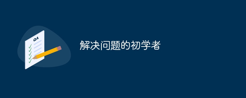 解决问题的初学者