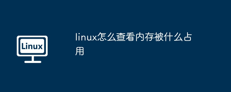 linux怎么查看内存被什么占用