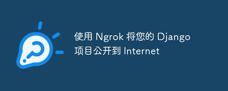 使用 Ngrok 将您的 Django 项目公开到 Internet