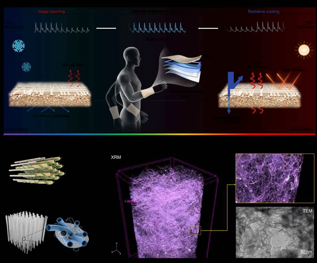 西安电子科技大学保宏教授团队在《Advanced Materials》上发表科研成果