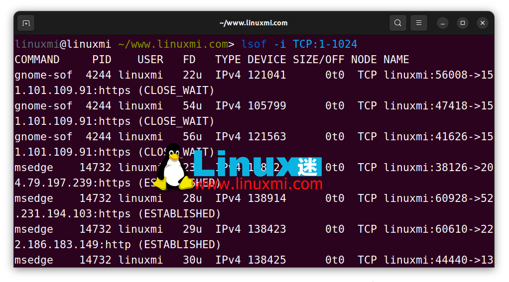 Linux高手必备工具：掌握 LSOF 命令实时监控端口