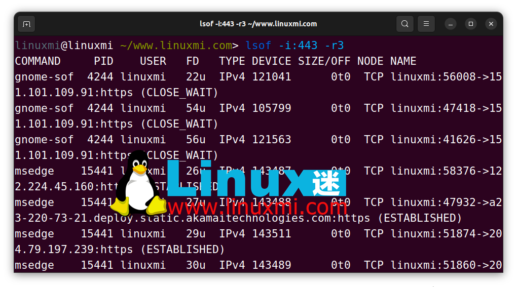 Linux高手必备工具：掌握 LSOF 命令实时监控端口