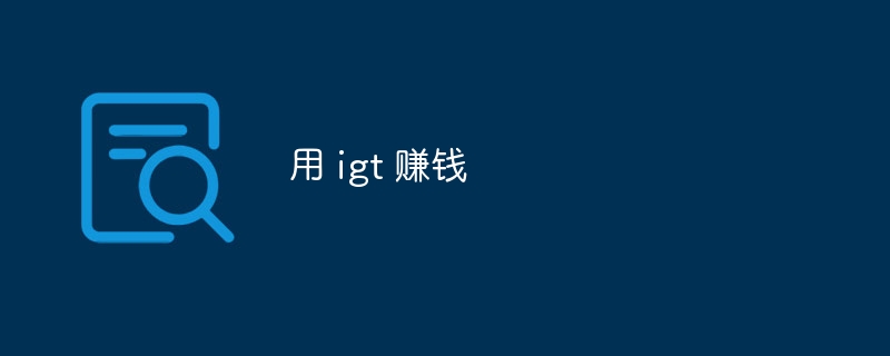 用 igt 赚钱