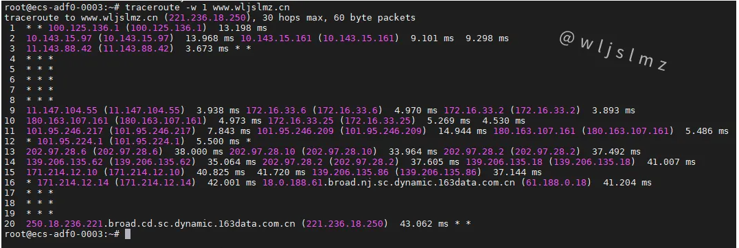 老板让我在Linux中使用traceroute排查服务器网络问题，幸好我收藏了这篇文章！