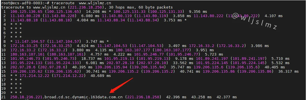 老板让我在Linux中使用traceroute排查服务器网络问题，幸好我收藏了这篇文章！