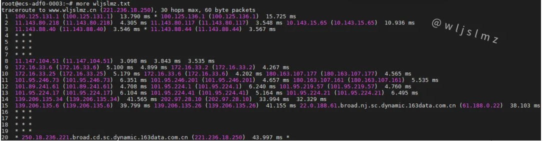 老板让我在Linux中使用traceroute排查服务器网络问题，幸好我收藏了这篇文章！