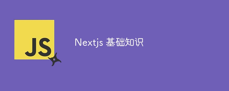 Nextjs 基础知识