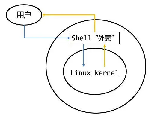 linux shell 脚本 入门到实战