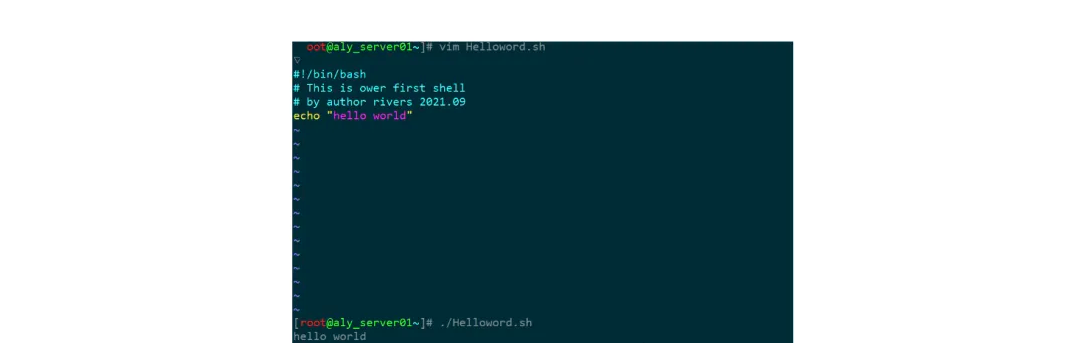 linux shell 脚本 入门到实战