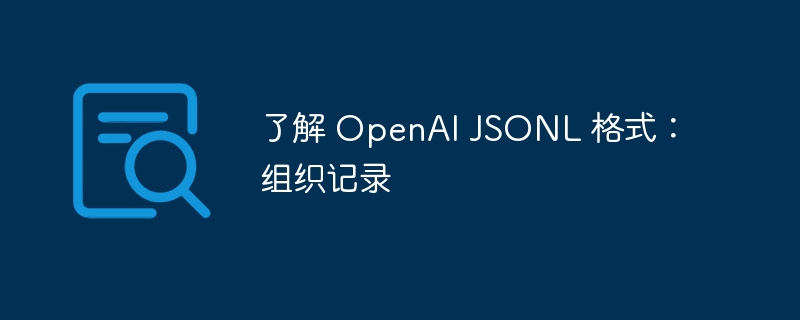 了解 OpenAI JSONL 格式：组织记录