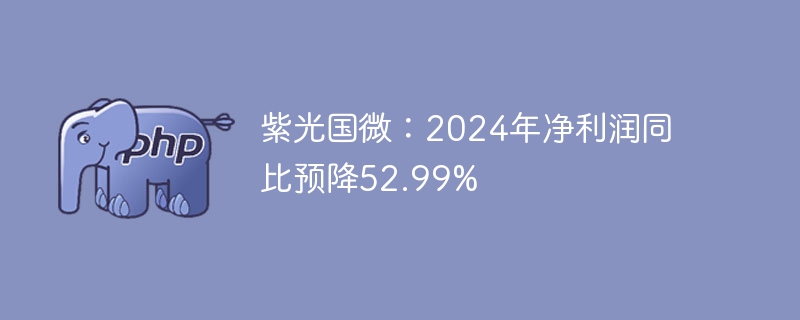 紫光国微：2024年净利润同比预降52.99%