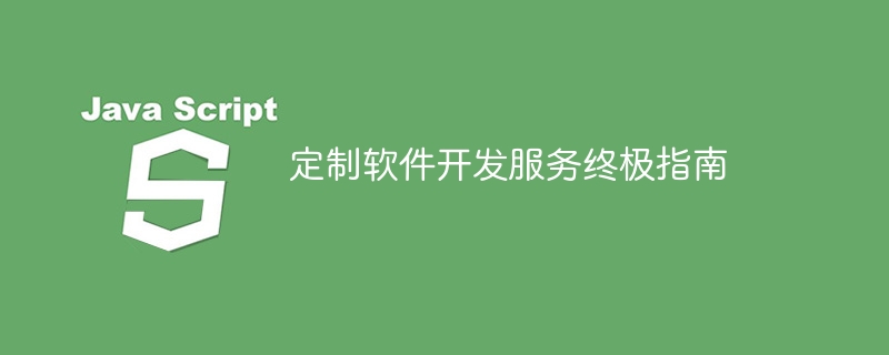 定制软件开发服务终极指南