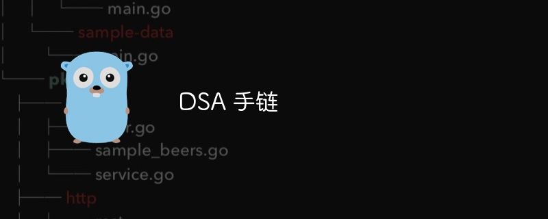 DSA 手链