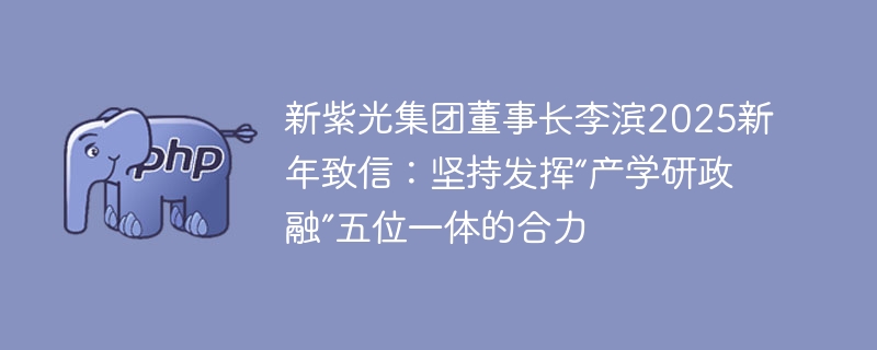 新紫光集团董事长李滨2025新年致信：坚持发挥“产学研政融”五位一体的合力