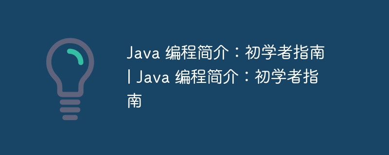 Java 编程简介：初学者指南 | Java 编程简介：初学者指南