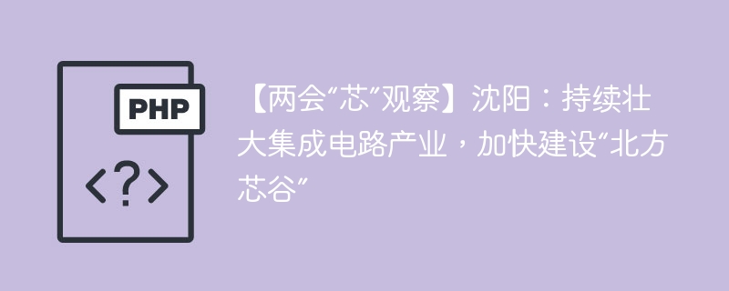 【两会“芯”观察】沈阳：持续壮大集成电路产业，加快建设“北方芯谷”