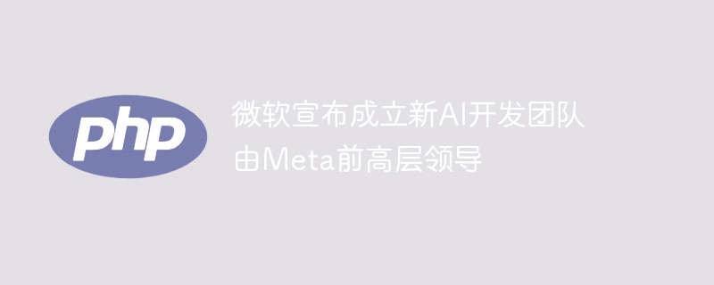 微软宣布成立新AI开发团队 由Meta前高层领导