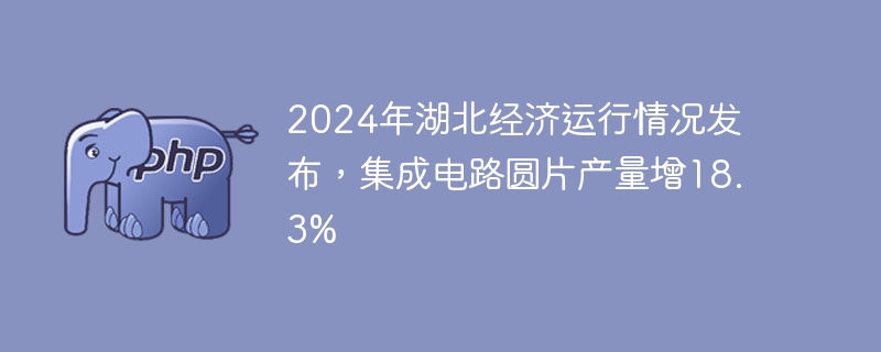 2024年湖北经济运行情况发布，集成电路圆片产量增18.3%