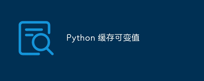 Python 缓存可变值