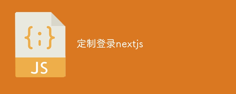 定制登录nextjs