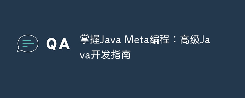 掌握Java Meta编程：高级Java开发指南