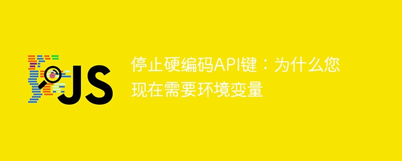 停止硬编码API键：为什么您现在需要环境变量