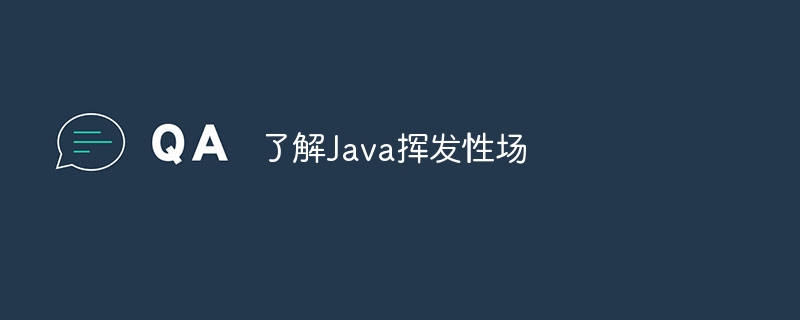 了解Java挥发性场