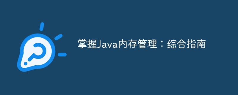 掌握Java内存管理：综合指南