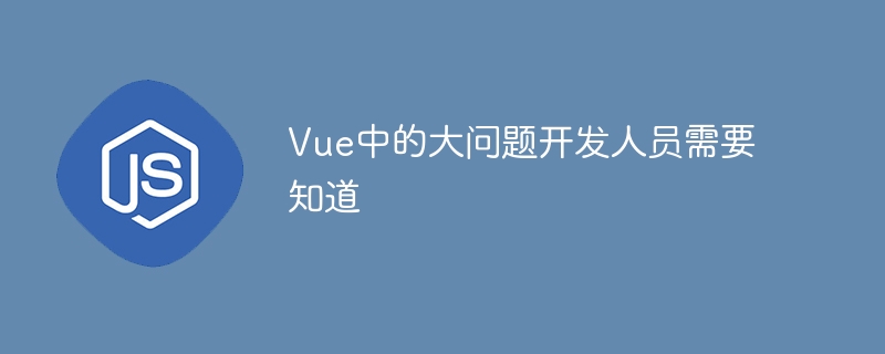 Vue中的大问题开发人员需要知道