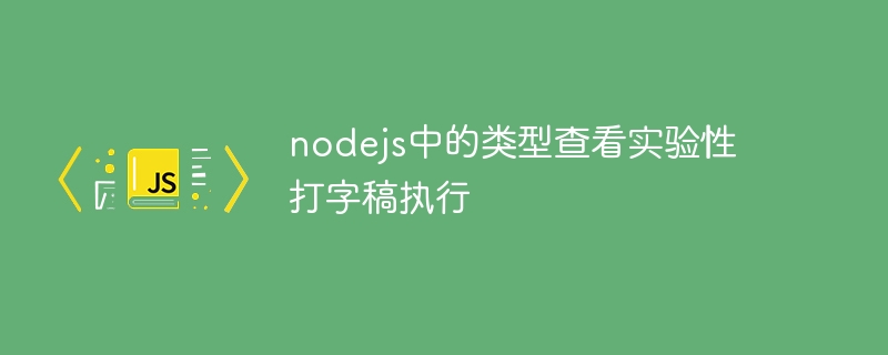 nodejs中的类型查看实验性打字稿执行