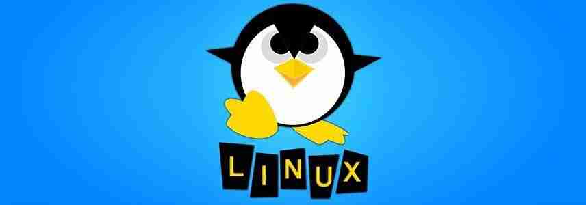 如何查看已安装的Linux内核? 命令行查看所有已安装Linux内核的技巧