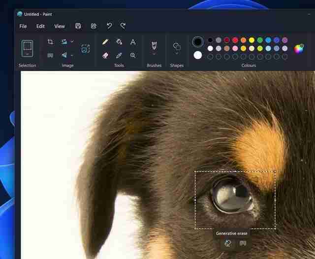 Win11画图应用正式上线AI 擦除功能: 智能修图新体验