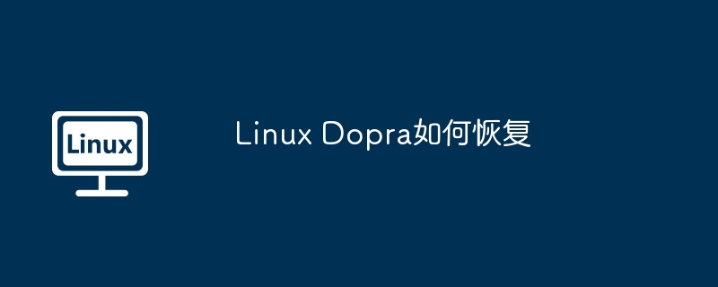 Linux Dopra如何恢复