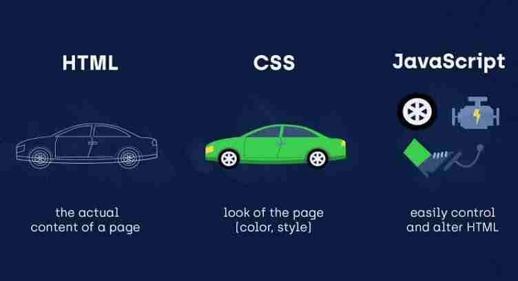 与初学者了解JavaScript