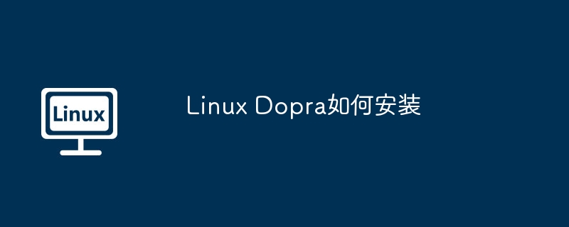 Linux Dopra如何安装