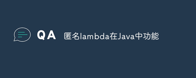 匿名lambda在Java中功能