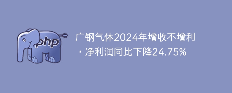 广钢气体2024年增收不增利，净利润同比下降24.75%