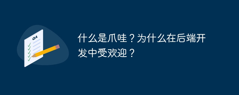 什么是爪哇？为什么在后端开发中受欢迎？