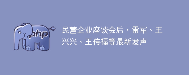 民营企业座谈会后，雷军、王兴兴、王传福等最新发声