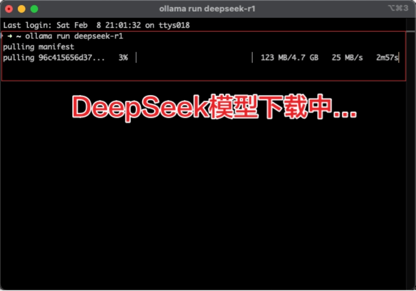 DeepSeek API调用和本地部署教程，一文搞懂