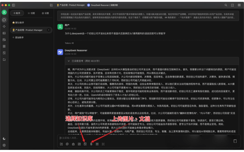 DeepSeek API调用和本地部署教程，一文搞懂