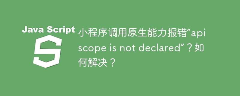 小程序调用原生能力报错“api scope is not declared”？如何解决？